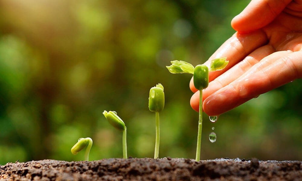 Environmental Sustainability | Fonzell