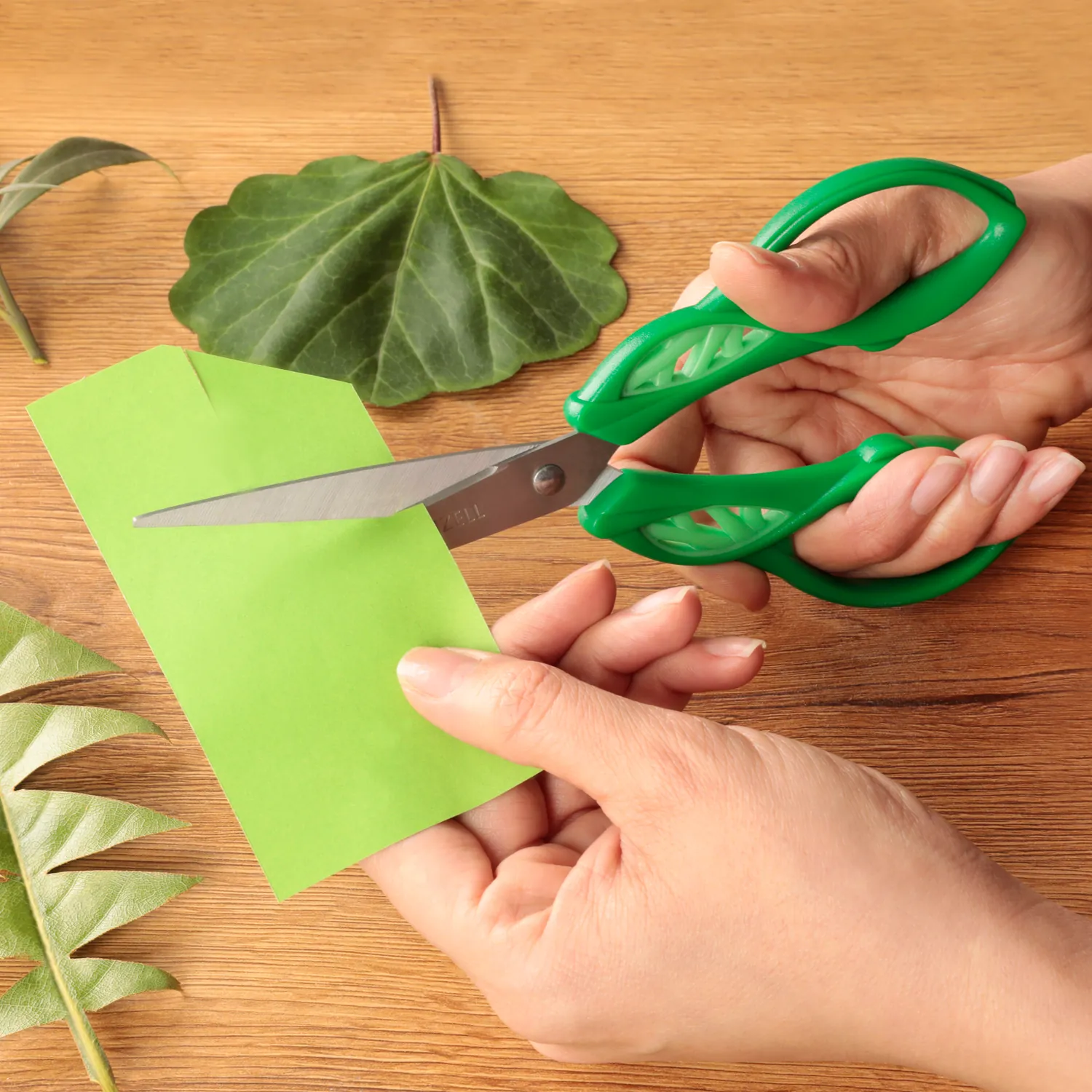 biomorph-scissors-2.webp
